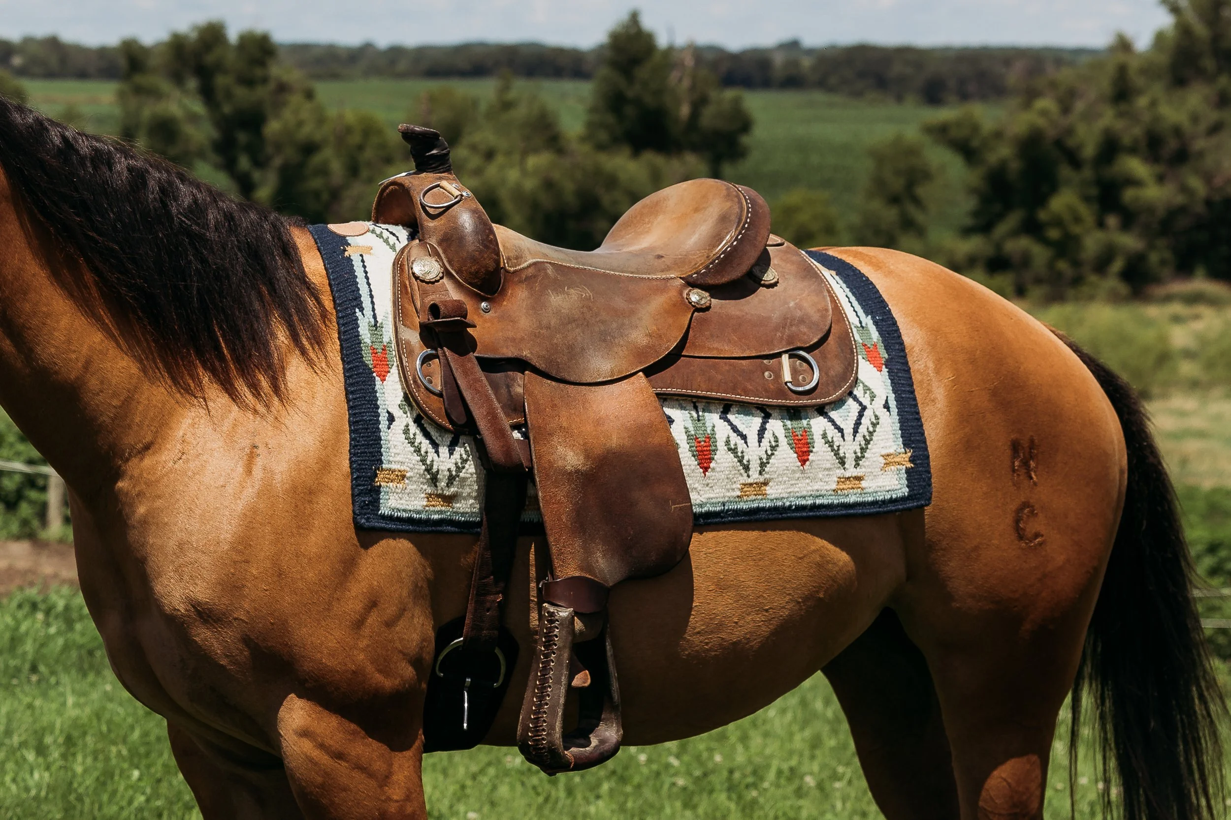 horse blanket research ジャガード　ジャカード　ブラウン Legado Sage Saddle Blanket — Yonder Horse